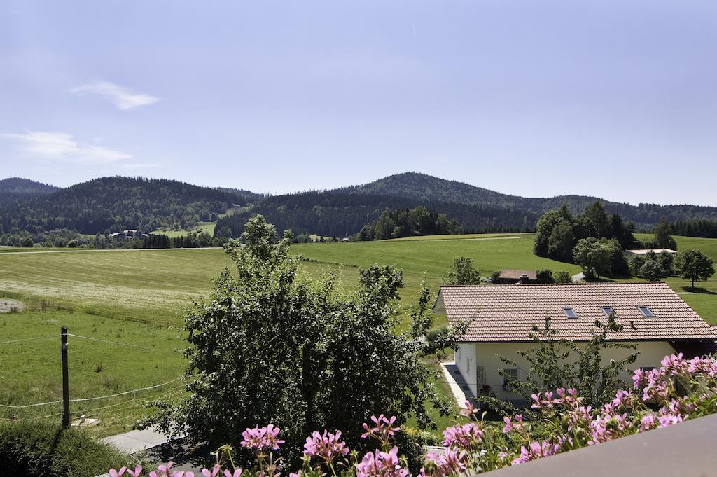 Haus Leutner Otel Bodenmais Dış mekan fotoğraf